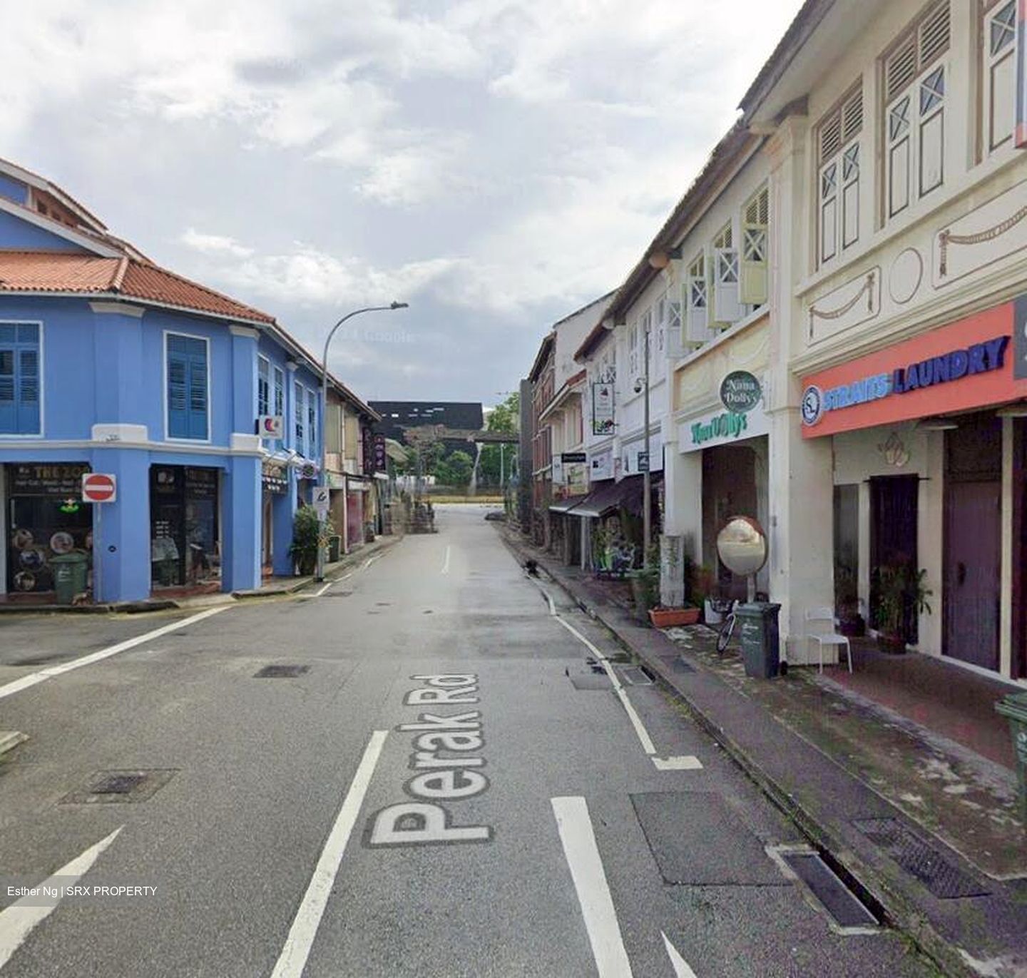 Veerasamy Road (D8), Shop House #487085441